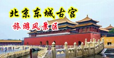 逼逼插日大鸡巴日逼日死你视频刺激中国北京-东城古宫旅游风景区